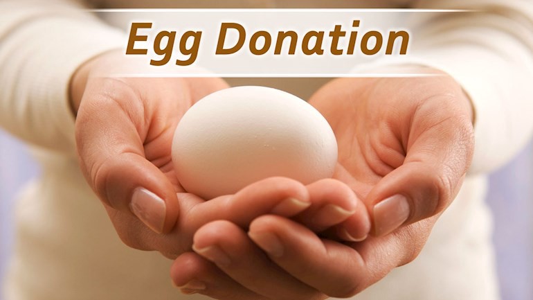 egg donation